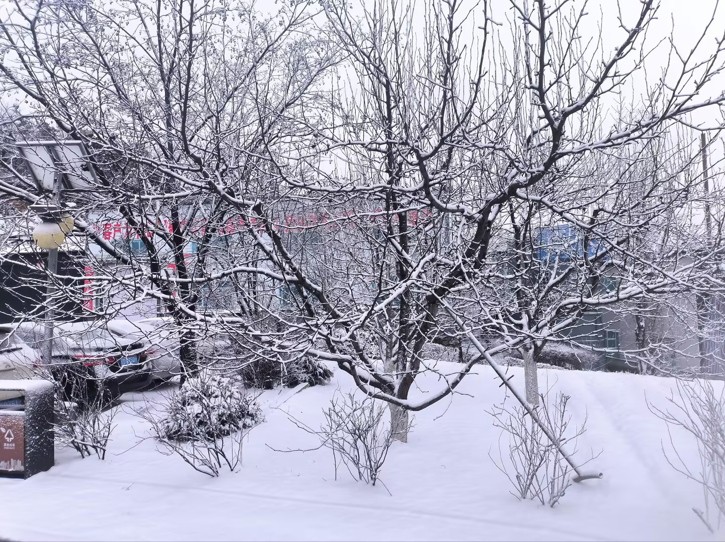 博瑞特：瑞雪啟新程，展望未來(lái)景